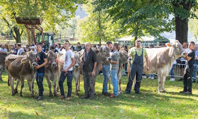 10^ MOSTRA ZOOTECNICA SUL CERESIO a PORLEZZA – Porto Letizia – Domenica 11 OTTOBRE 2026